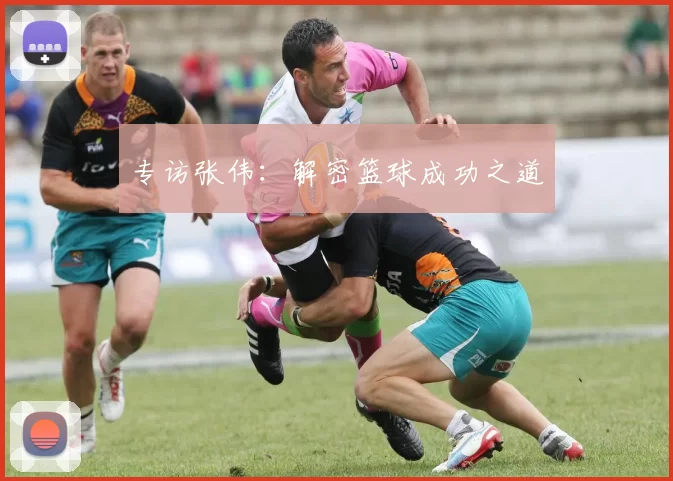 专访张伟：解密篮球成功之道