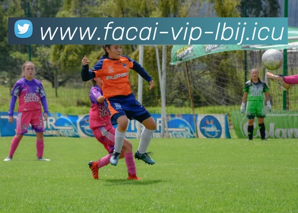 九游体育品牌故事