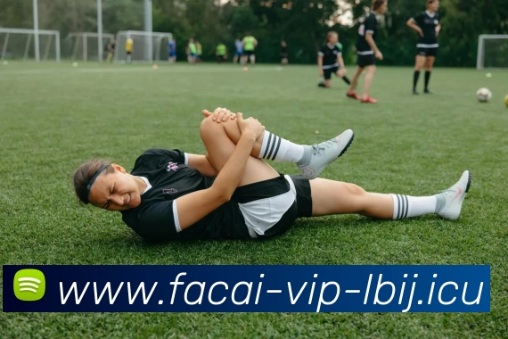 九游体育服务体系